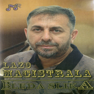 Bleda slika