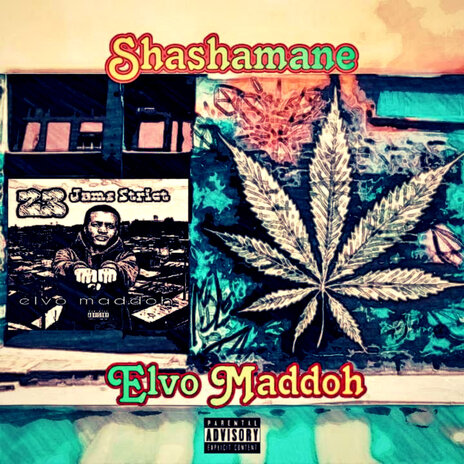 Shashamane | Boomplay Music