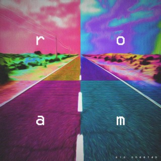 Roam lyrics | Boomplay Music