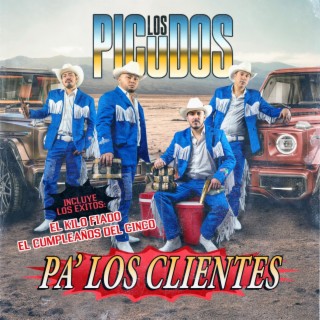 Los Picudos