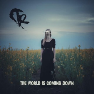 The World is Coming Down lyrics | Boomplay Music