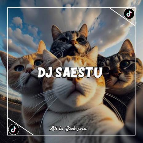 SAESTU (Remix) | Boomplay Music