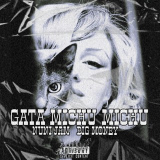 Gata Michu ft. Big Money Music lyrics | Boomplay Music