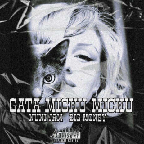 Gata Michu ft. Big Money Music