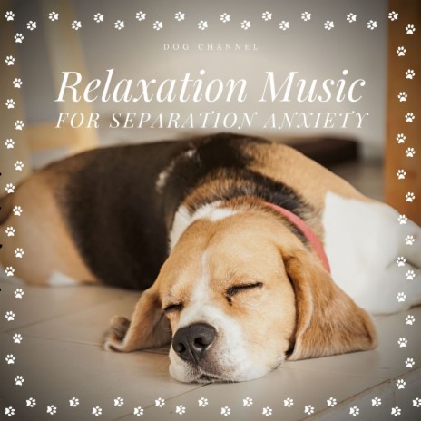 Wonderful Lullaby for Dogs