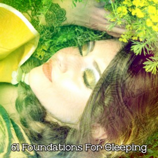 61 Foundations For Sleeping