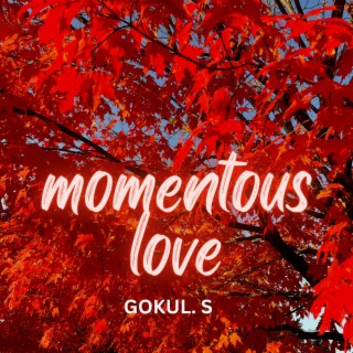 Momentous Love