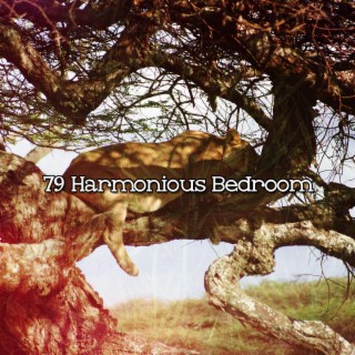 79 Harmonious Bedroom