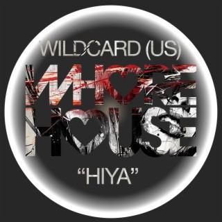 Wildcard (US)