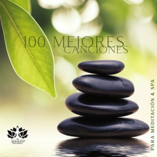 100 Mejores Canciones para Meditación & SPA: Relajación Profunda, Masaje, Yoga Matutino, Sonidos de la Naturaleza Pura