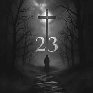 23