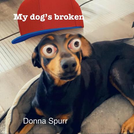 My dog's broken | Boomplay Music