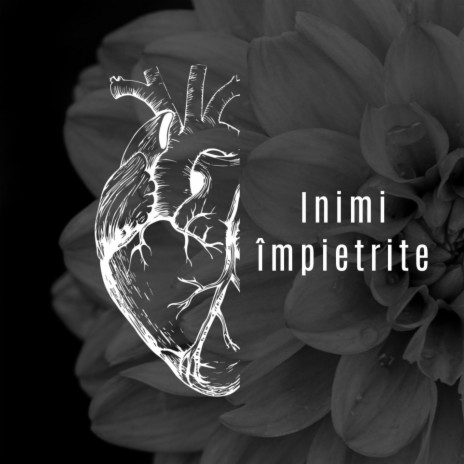 Inimi Împietrite | Boomplay Music