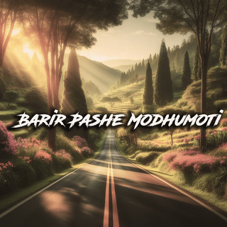 Barir Pashe Modhumoti