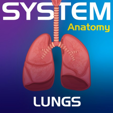 System Anatomy: Lungs | Boomplay Music