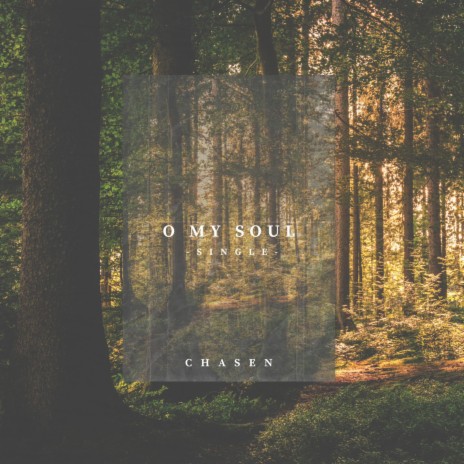 O My Soul | Boomplay Music