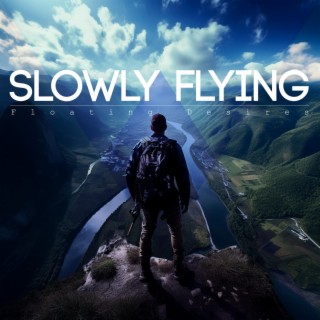 Slowly Flying