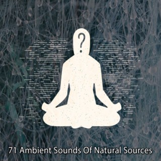 71 Ambient Sounds Of Natural Sources