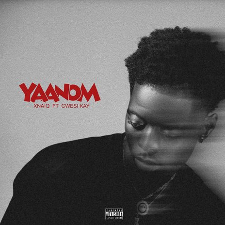 Yaanom ft. Cwesi Kay | Boomplay Music