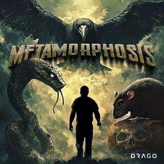 Metamorphosis lyrics | Boomplay Music