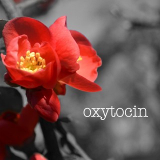 oxytocin