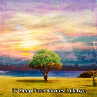 19 Sleep Pure Natures Lullabye