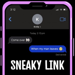 Sneaky Link lyrics | Boomplay Music