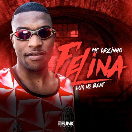 Felina ft. Mc Lezinho | Boomplay Music