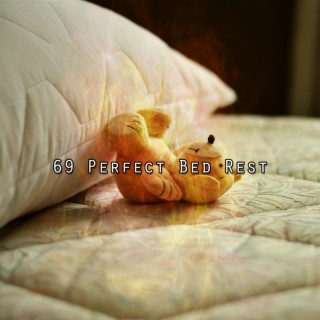 69 Perfect Bed Rest