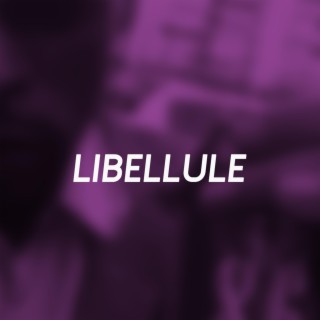 Libellule