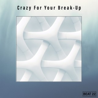 Crazy For Your Break-Up Beat 22
