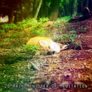 26 Rain Minister Of Meditation
