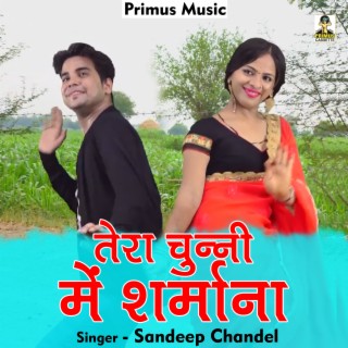 Tera Chune Mein Sharmana