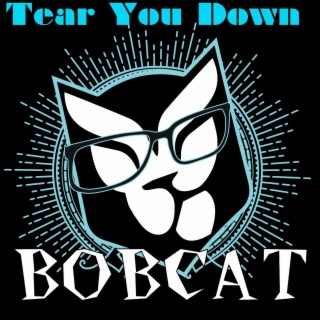 Tear You Down (Live)