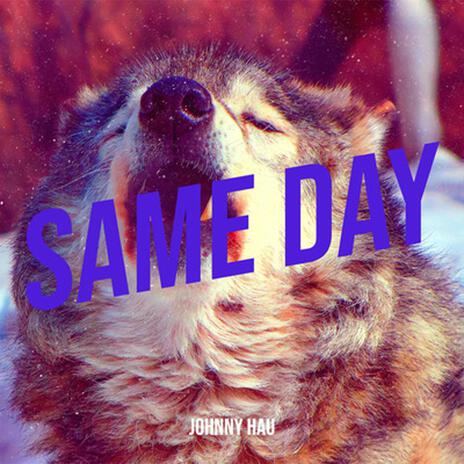 Same Day | Boomplay Music