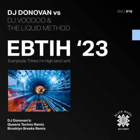 Everybody Thinks I'm High (Dj Donovan's Queens Techno Remix) ft. Liquid Method | Boomplay Music