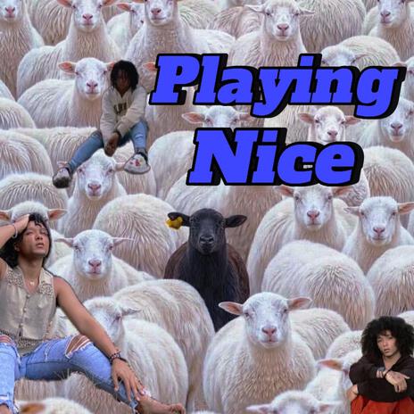 Playing Nice | Boomplay Music