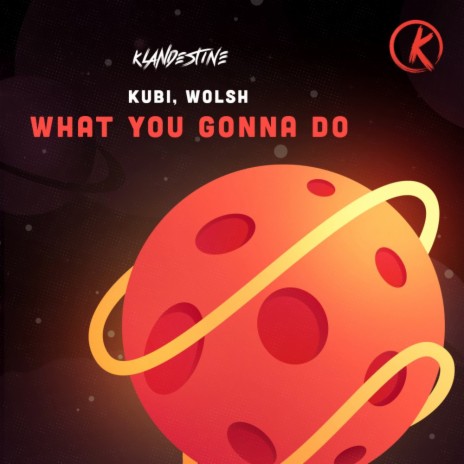 What You Gonna Do ft. Wolsh | Boomplay Music
