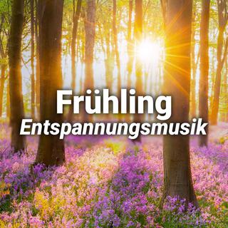 Frühling Entspannungsmusik