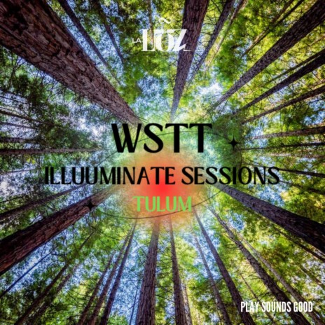What's The Track?! | Tulum Illuuminate Sessions (Mix)