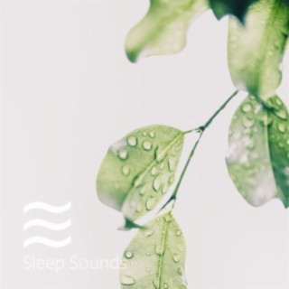 Deep Brown and Gentle White Noise Collection for Better Sleep