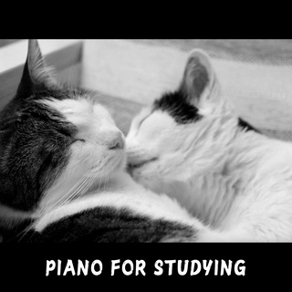 Piano for Studying (only piano)