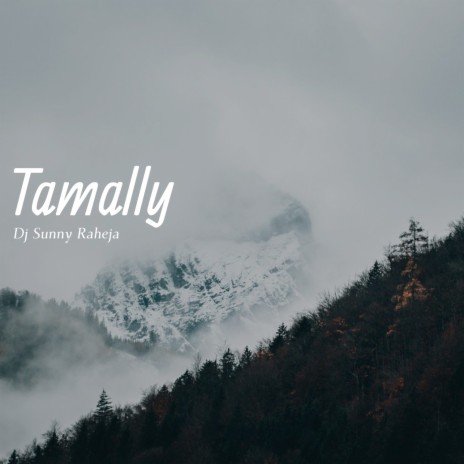 Tamally | Boomplay Music