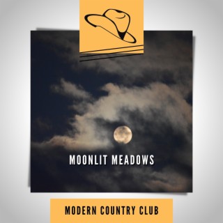 Moonlit Meadows