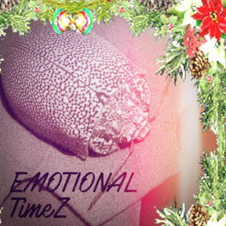 Emotional Timez | Boomplay Music