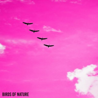 Birds of Nature