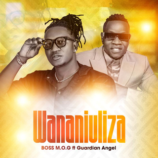 Wananiuliza lyrics | Boomplay Music