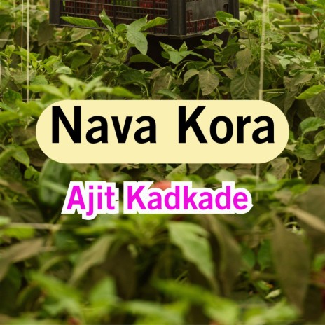 Nava Kora | Boomplay Music