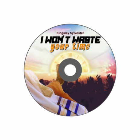 I WON'T WASTE YOUR TIME | Boomplay Music