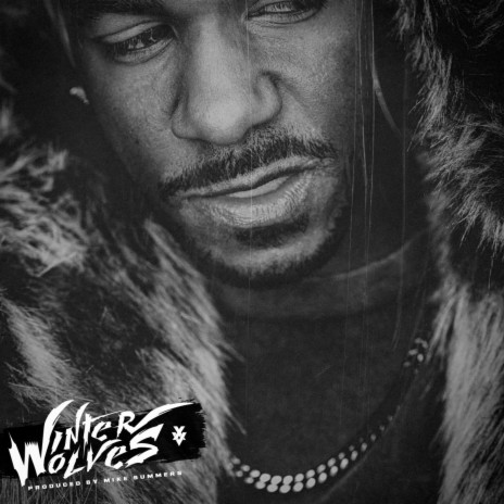 WOLF IN SHEEPSKIN ft. MIKE SUMMERS | Boomplay Music